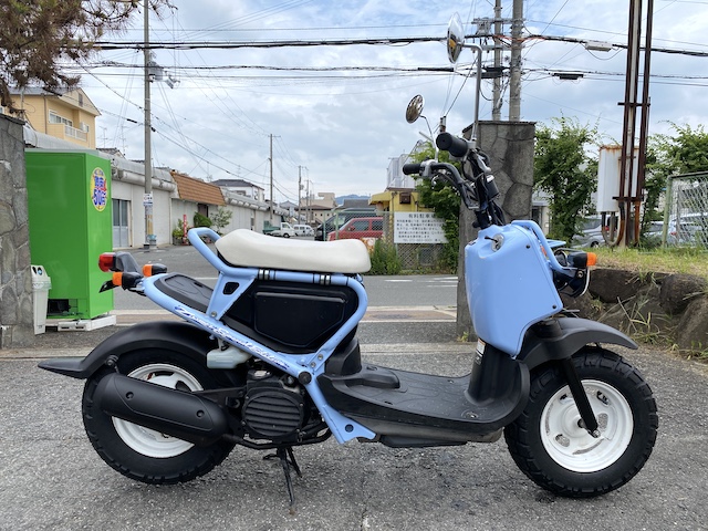 スペシャルエディションが入荷致しました！ | Natty works studio